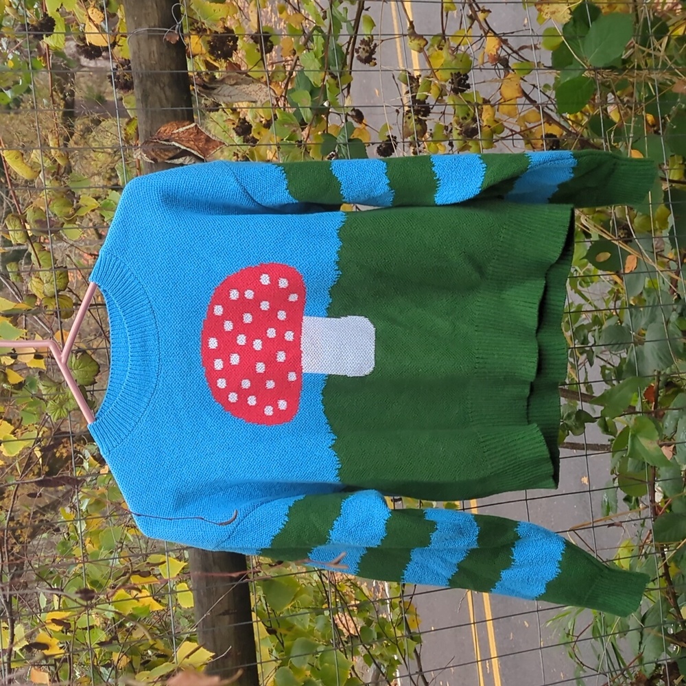 Zara mushroom sweatee